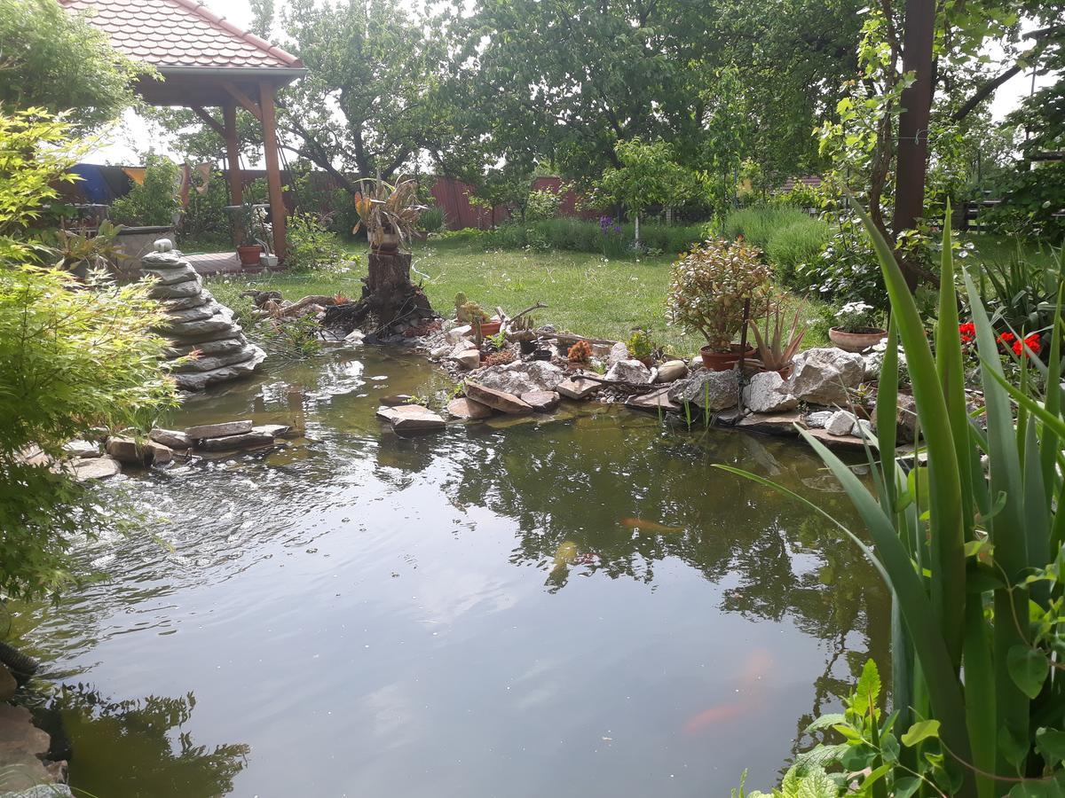 Pension Zeleny Strom Mikulov Exterior foto